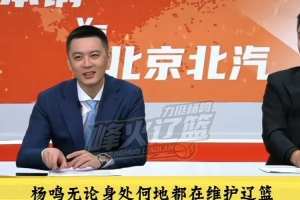 fifa21意甲后卫
