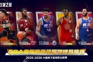 丹麦一爱尔兰比分预测