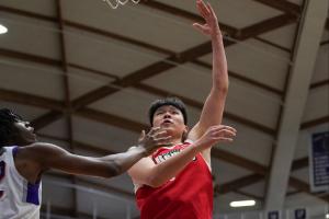 nba猛龙与勇士