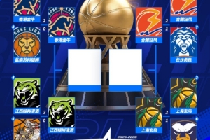 2015年鲁能队员