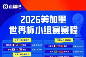 fifa有脸型补丁吗