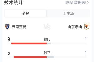 约什火箭盖冒