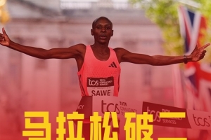 足球欧预赛是什么