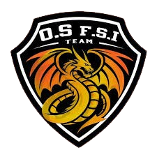 橙色体育FSI
