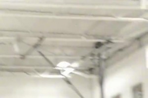 挥汗如雨！阿奴诺比进行休赛期特训